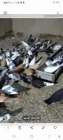 جده حي العزيزيه شارع المكرونه جوار المحكمة العامة 1