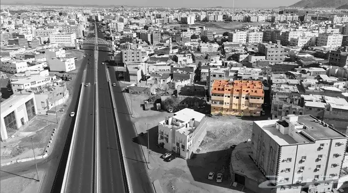 مصور درون 2