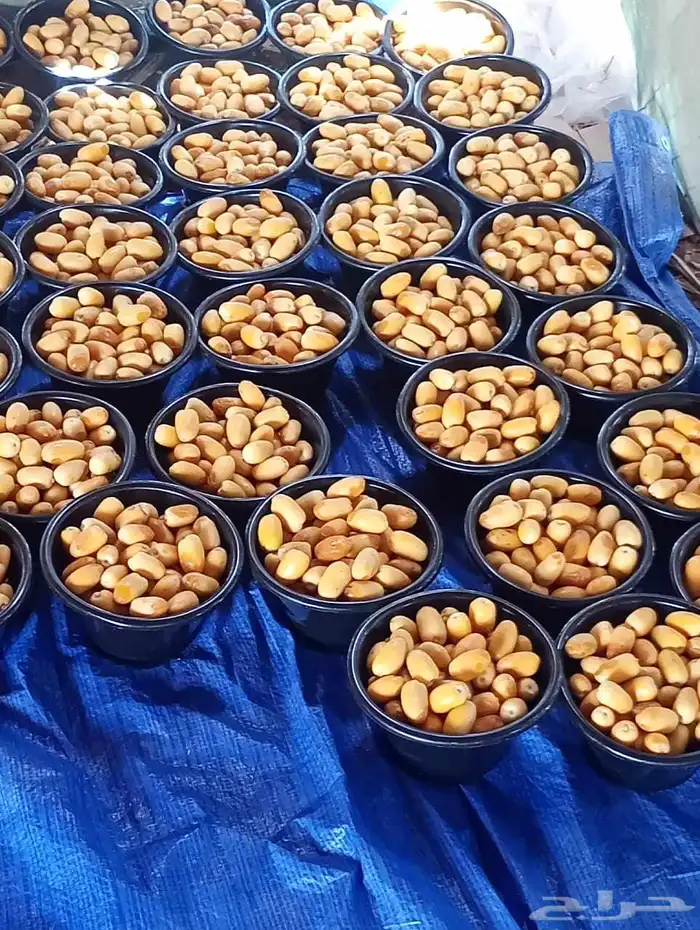 رطب خلاص للبيع 5