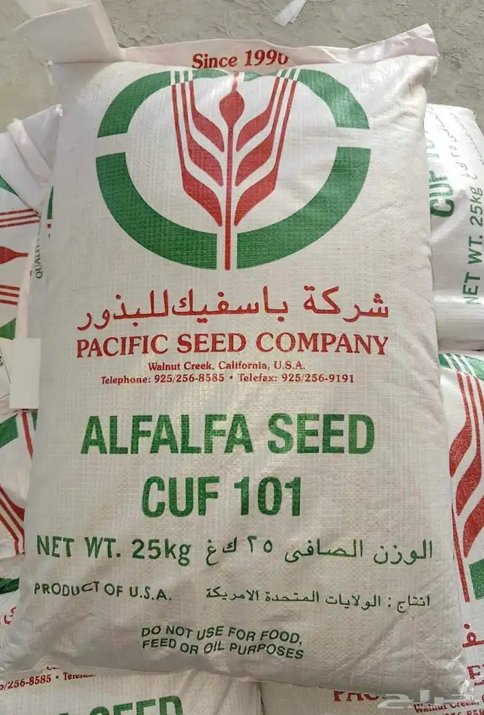 بذور برسيم باسفيك كاف 101 مغلف 0