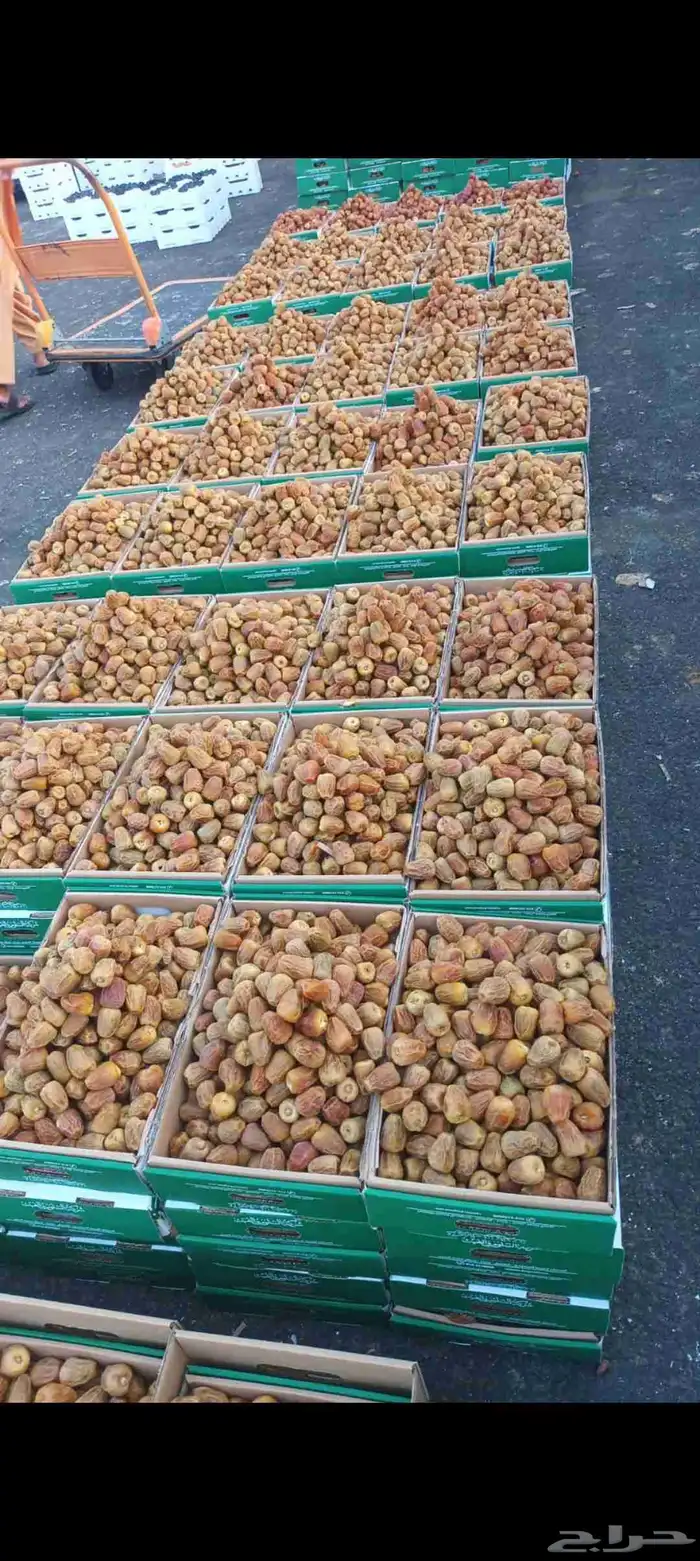 توفر سكري مفتل عجوا فاخره طيبه 0