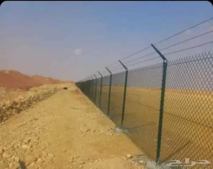 توريدوتركيب الشبوك 8