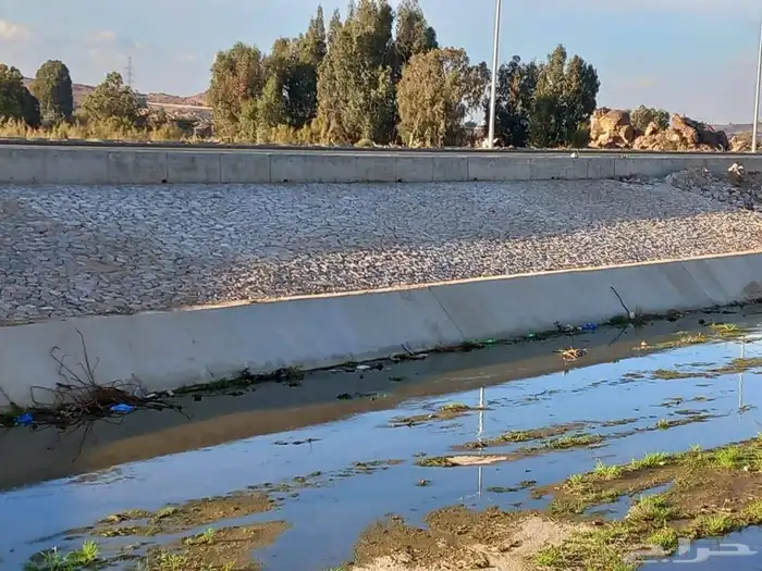 موقول ححر افغاني بو لين 4
