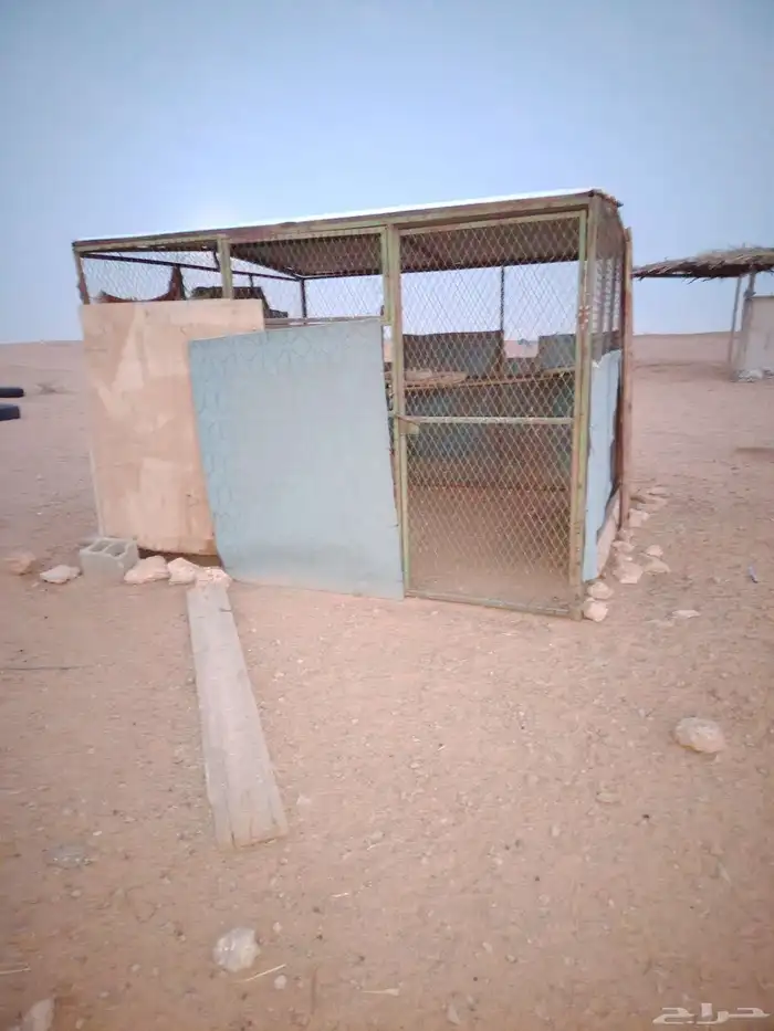 شبك دجاج 3 في 3 0