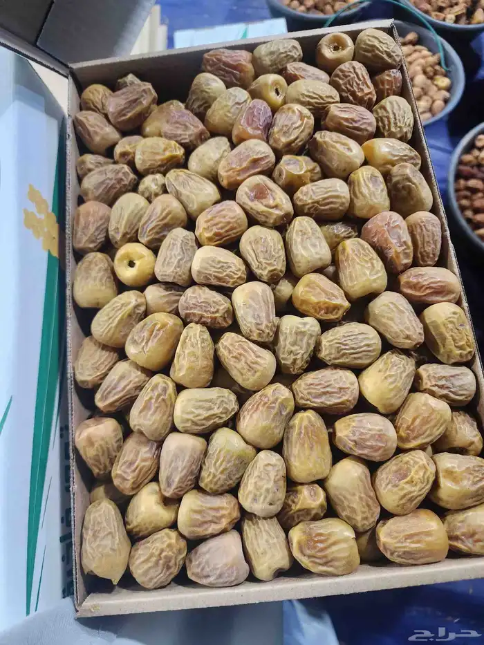 متوفر مزرعة 20 الف نخله سكري يوجد فيها سكري مفتل ورطب 1