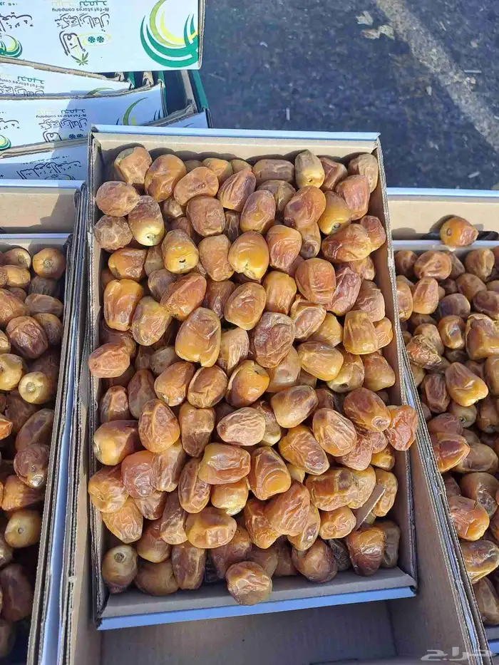 سكري ملكي فاخر 9