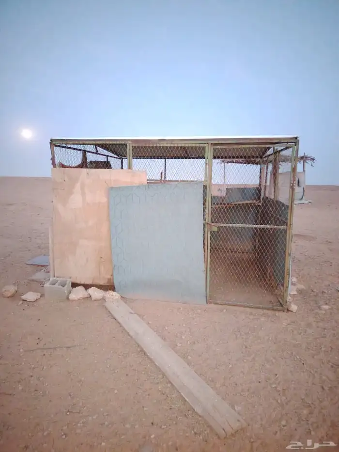 شبك دجاج 3 في 3 1