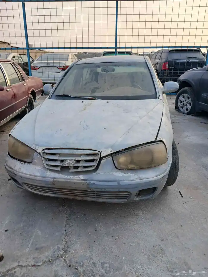 إلنترا 2003 1