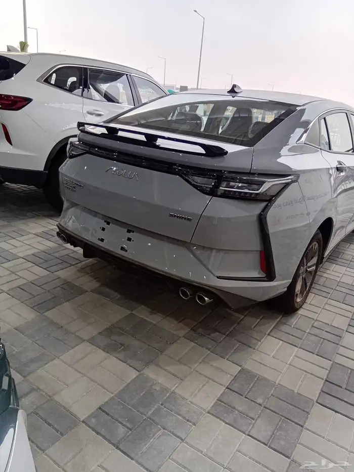 دوينج فينج 2025 3