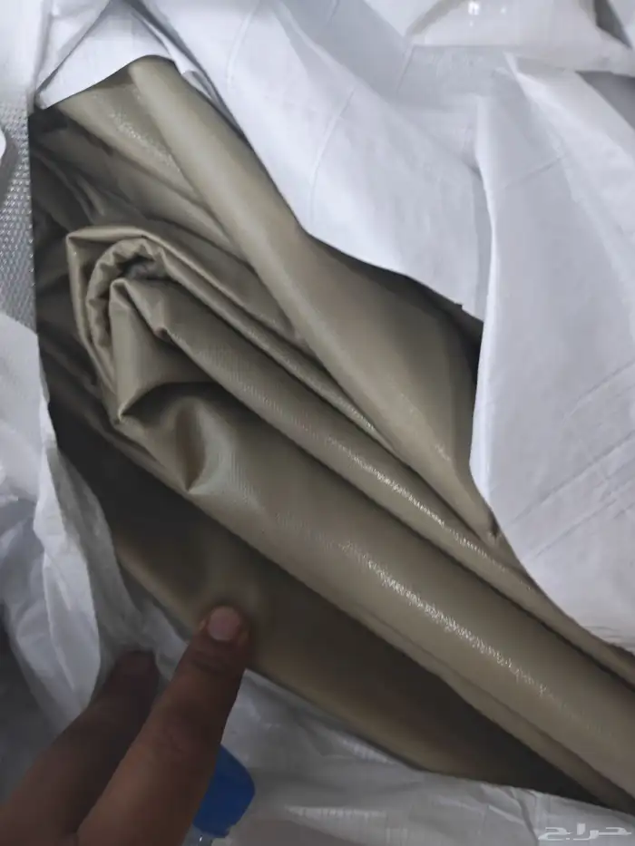 شراعات جلد ابو قرش 6