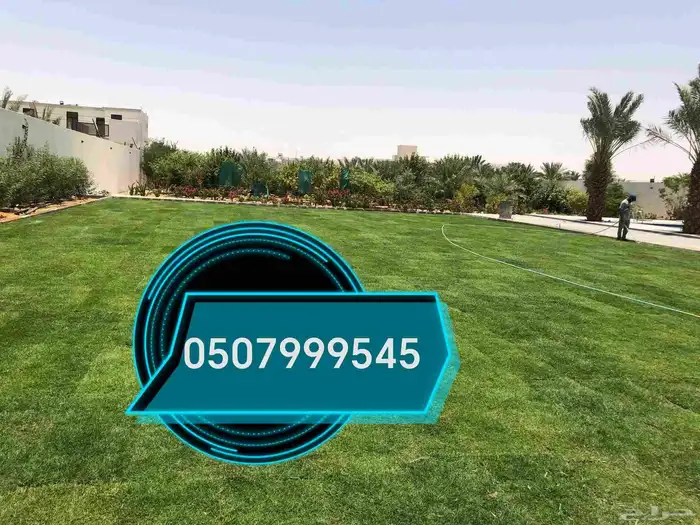 ثيل طبيعي درجه اولى من مزارع الخرج توريد وزراعة 8