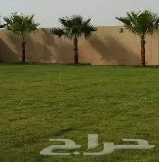 شبكات ري زراعة شلالات 4