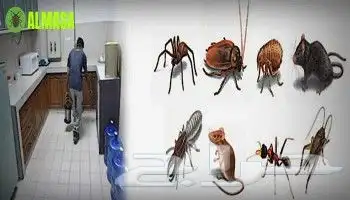 شركة مكافحة حشرات والنمل الابيض رش مبيدات الآفات بالشرقية 2
