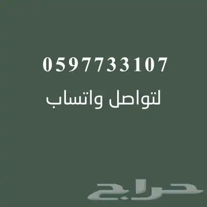 رسام اشخاص بورترية 2
