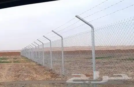 توريدوتركيب الشبوك 3