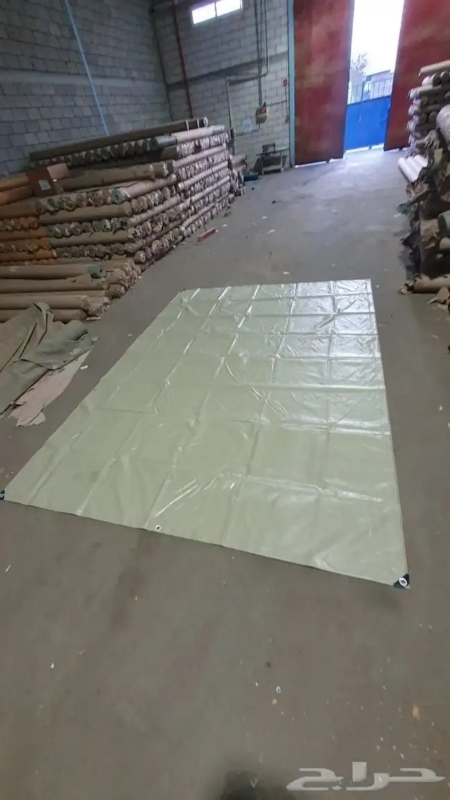 شراعات جلد ابو قرش 2