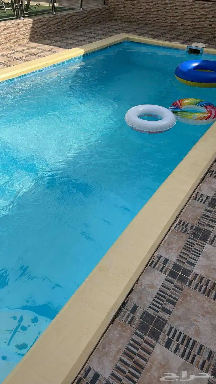 قولز حي عريض 0