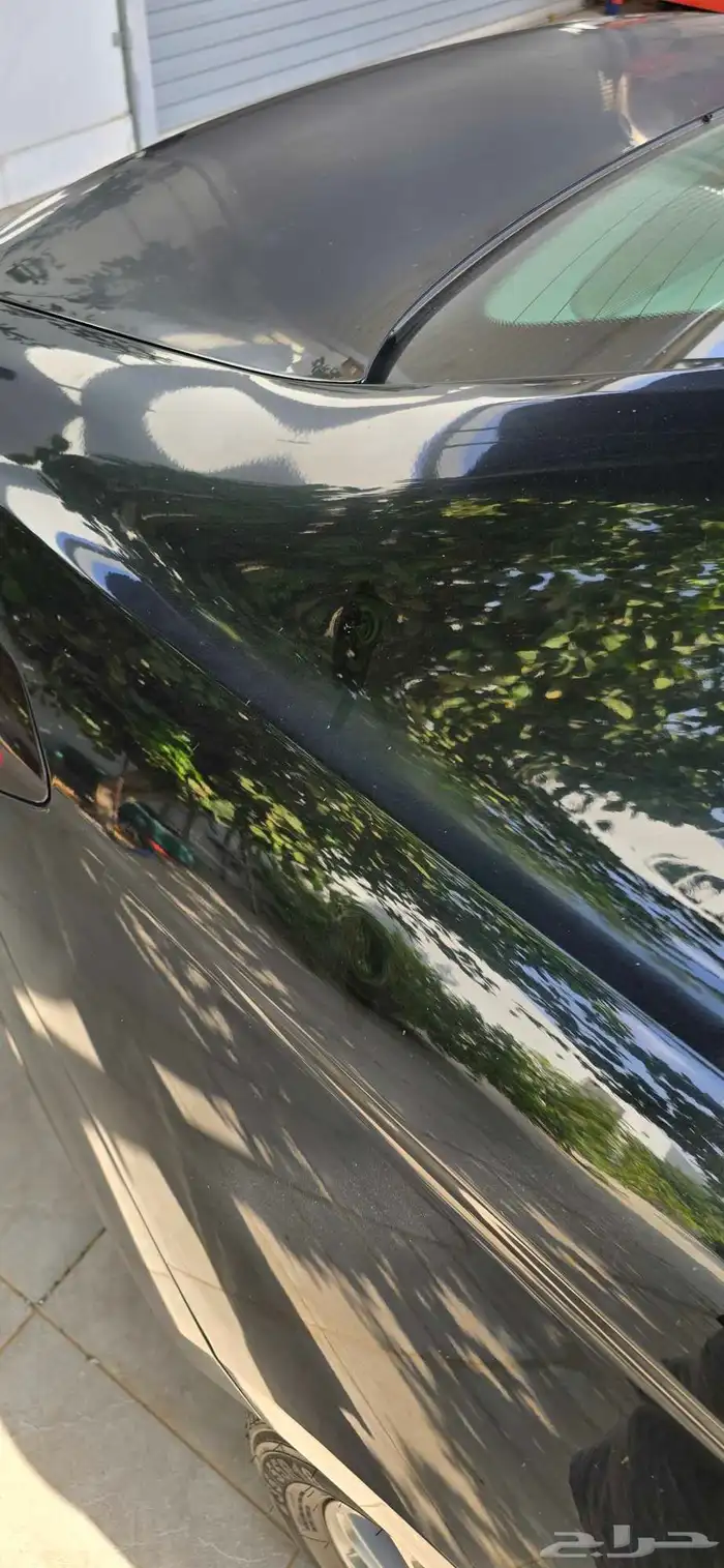 فورد توريس نص فل 2021 7