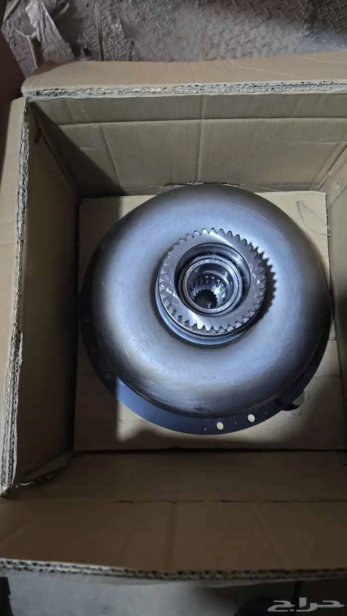 رافعات شوكية 8