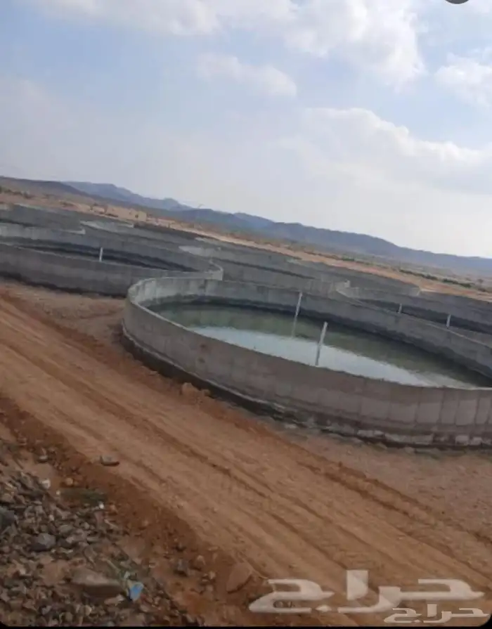 مىغلم غازي خان افغاني خزانت 0