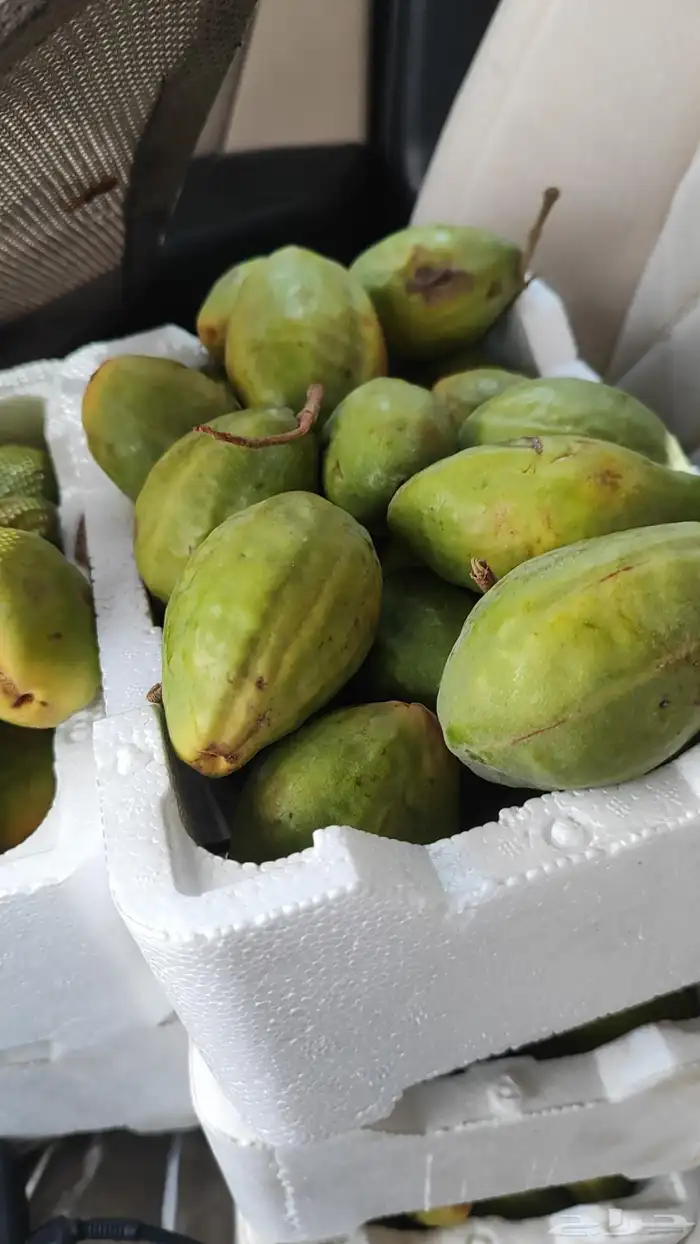 لوز وتين ورطب بلدي 0