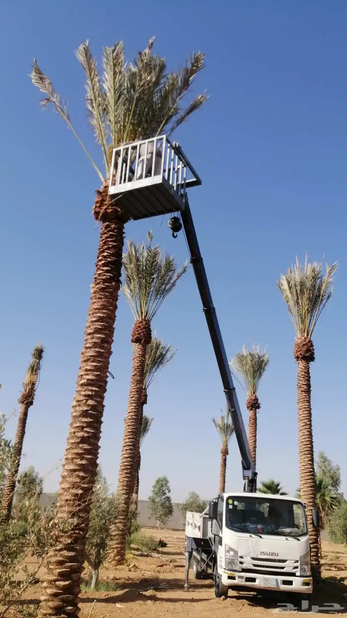 ونش أجار يومي وشهري 2