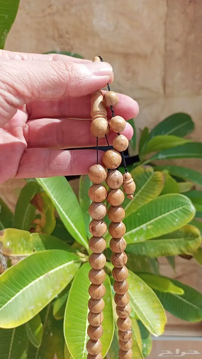 نوادر سبحة خشب ماموث عاج سبحة ماموث اصلية مشروطة قص د 2
