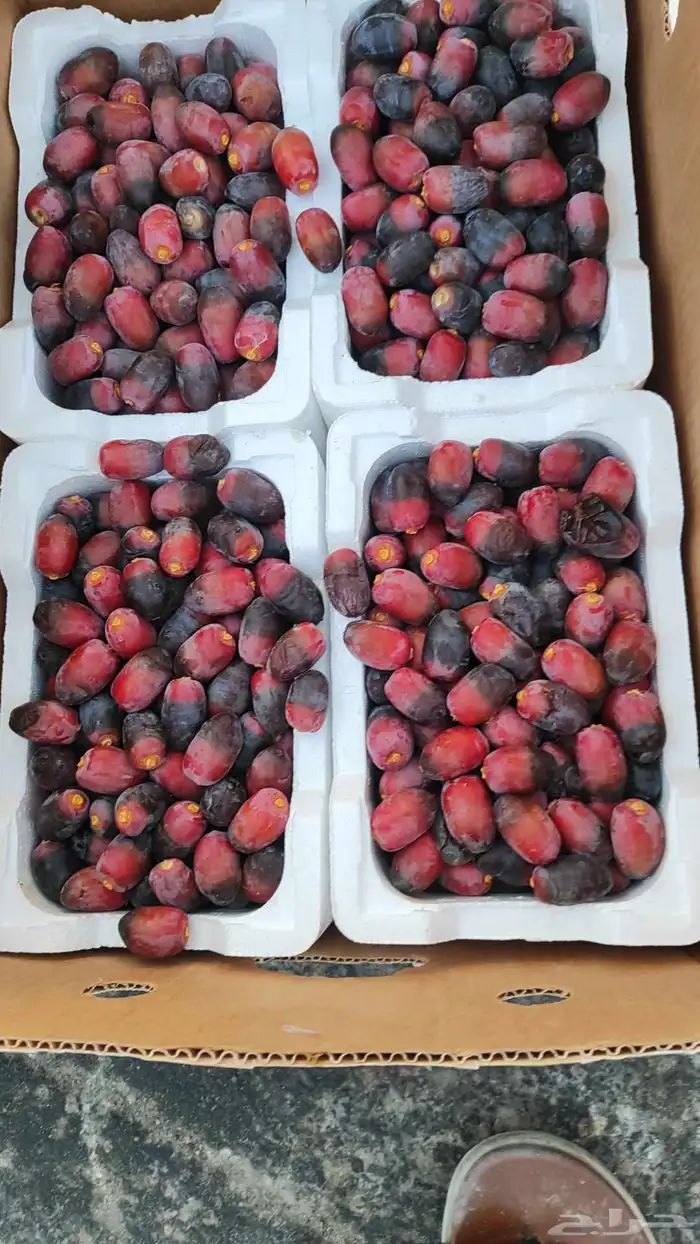 لوز وتين ورطب بلدي 3