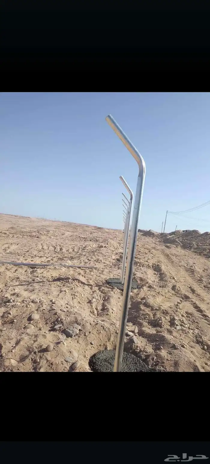 نخل وشبوك مقاول توريد وتركيب 0