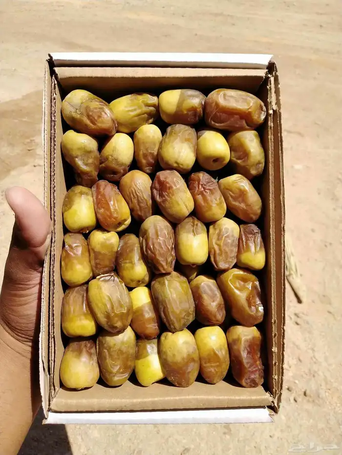 خراف جميع الأنواع ( رطب . مناصيف ) 3