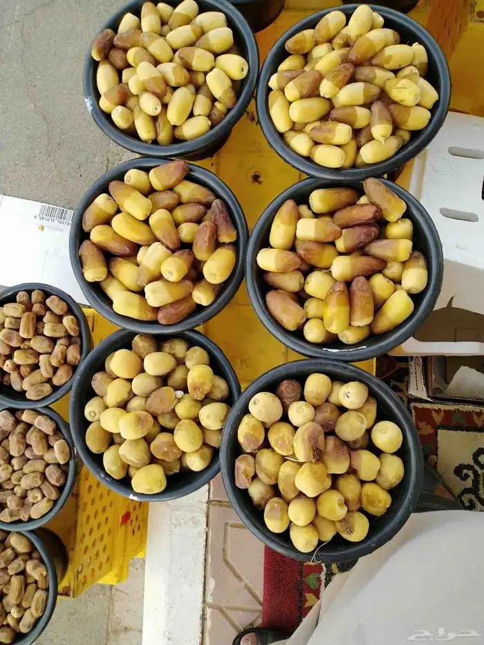 خراف جميع الأنواع ( رطب . مناصيف ) 0