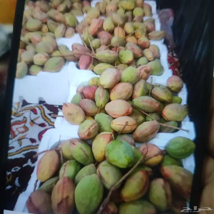 لوز وتين ورطب بلدي 12