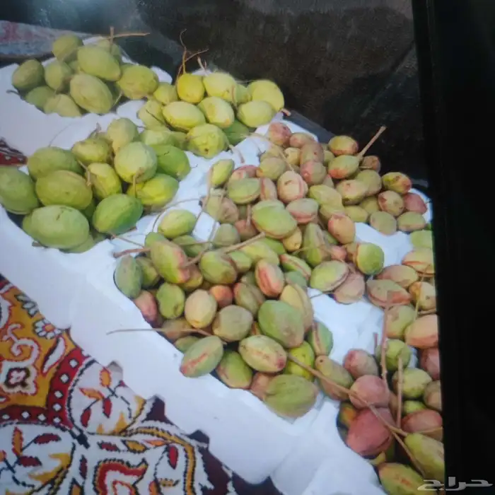 لوز وتين ورطب بلدي 11