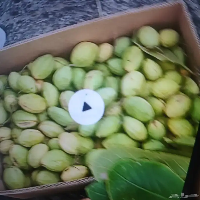 لوز وتين ورطب بلدي 5