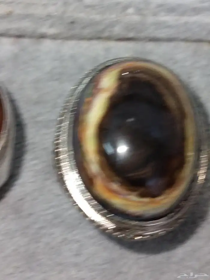 خواتم متنوعه تحف 14