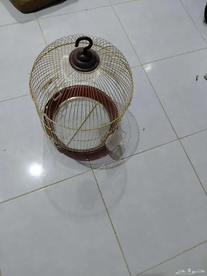 طاوله زجاج وقفت طيور 5