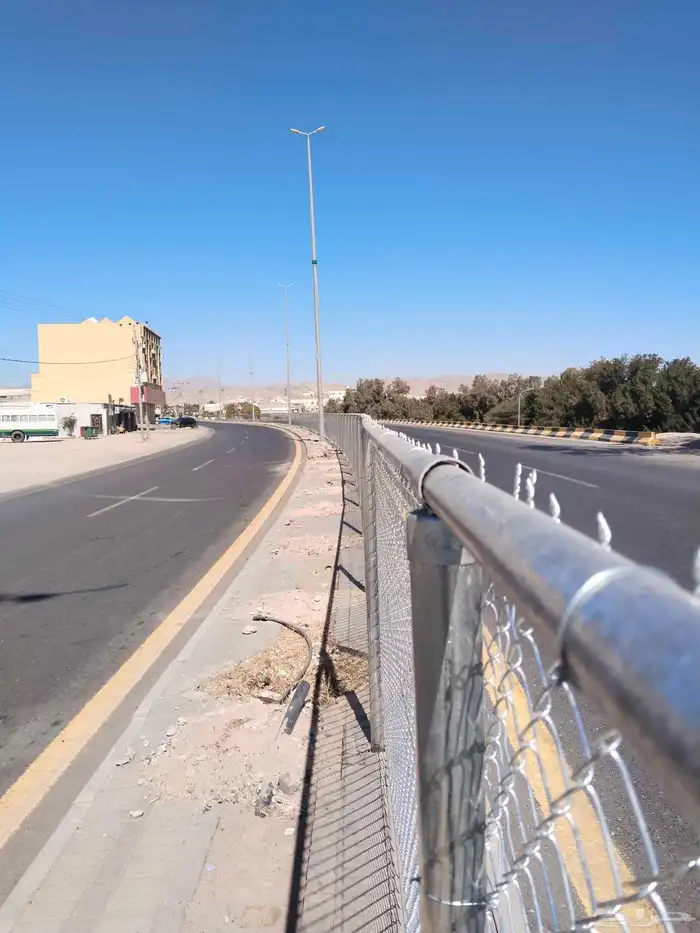 نخل وشبوك مقاول توريد وتركيب 2