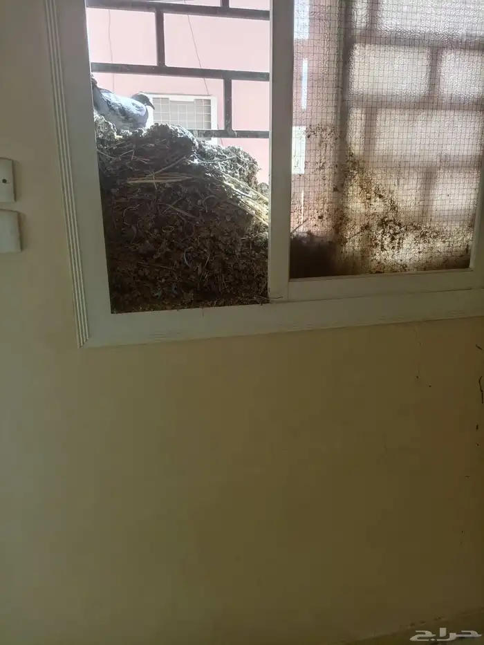 شركة تنظيف منازل تنظيف شقق تنظيف كنب سجاد تنظيف مكيفات 4