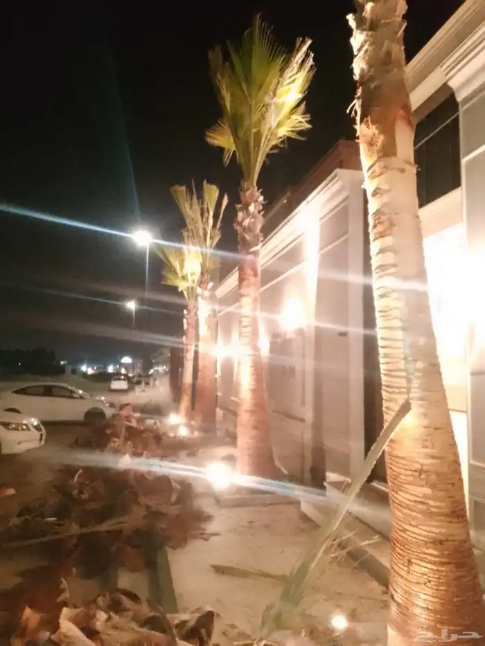 تكريب الواشنطونيا والنخيل وتنسيق الحدائق وقطع اشجار 1