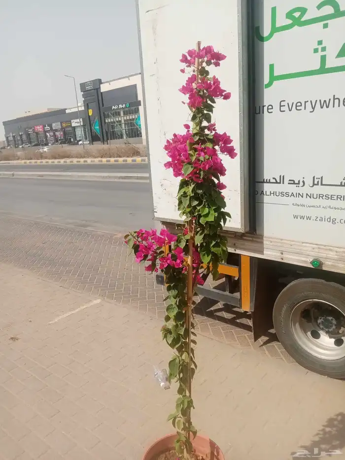 مشتل زراعي 1