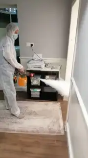 شركة رش مبيدات حشرات مكافحة حشرات مبيد نمل صراصير وزغ فأران 4