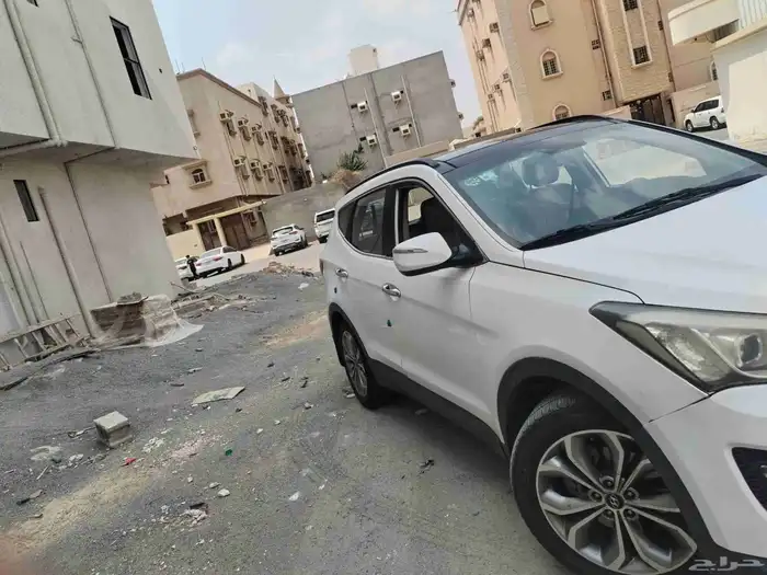 سنتافي 2014 5