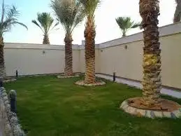 ابو يوسف لتوريد انخيل الوشنطني والأشجار وثيل 10