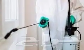 مكافحة حشرات بالطائف رش مبيدات البق الصراصير النمل الناموس 4