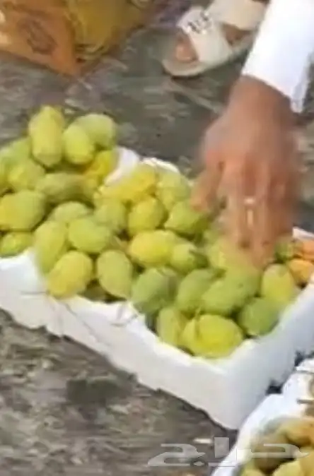 لوز وتين ورطب بلدي 1