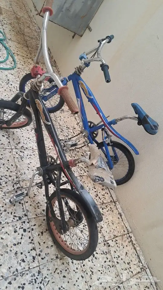 سياكل كوبرا 0