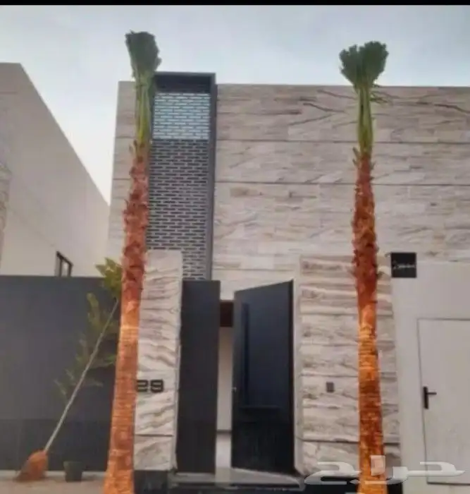 متوفر لدينا جميع انواع نخل وجميع المقاسات 2