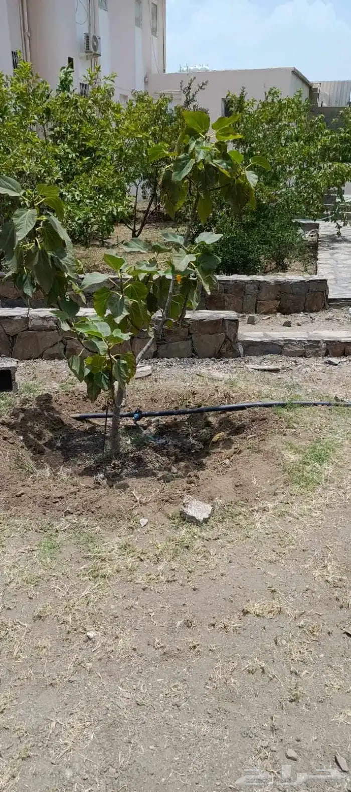 فنى شبكات ري اوتوماتيك وعادا 2