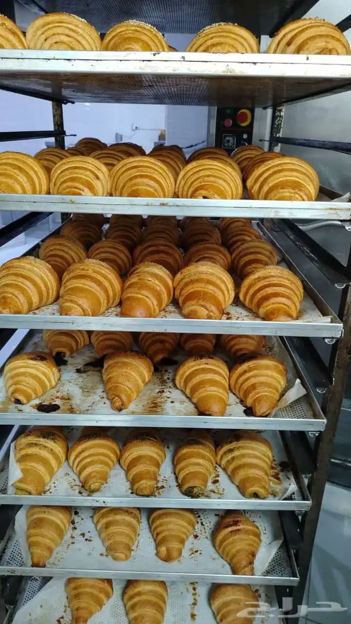 معلم مخبوزات 4