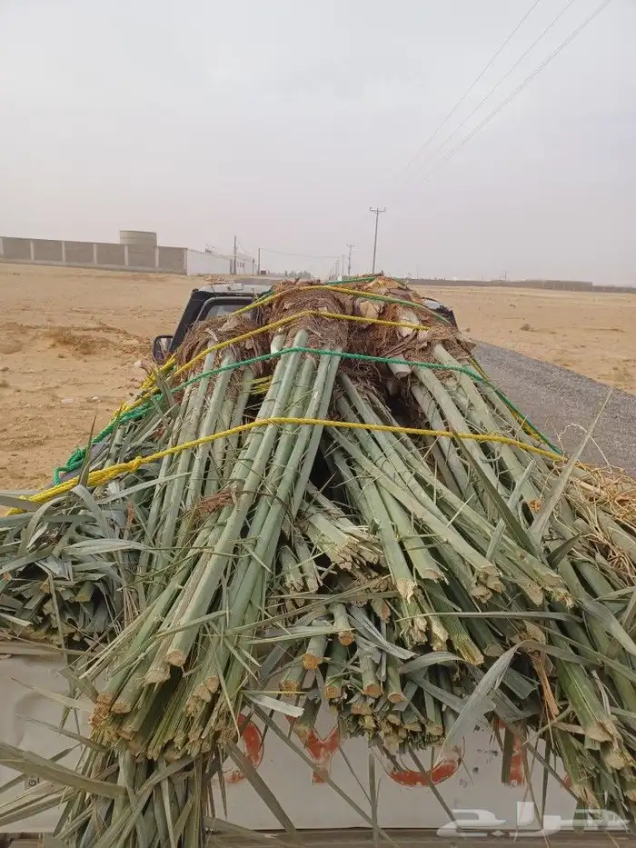 للإستفسار تركيب جميع انواع الشبوك وزراعةالنخل وخيم والمظلات 3